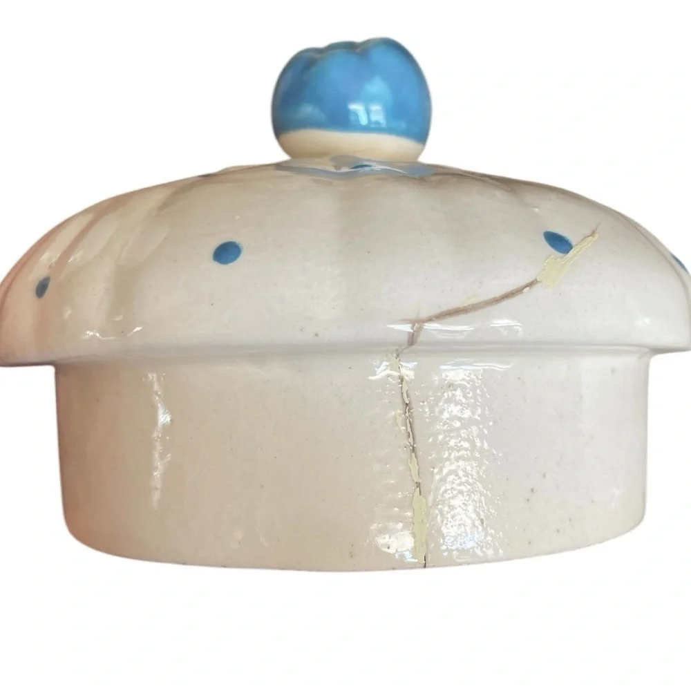 Salins France blue polka